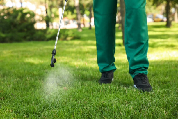 Best Lawn Pest Control  in Crowley Lake, CA